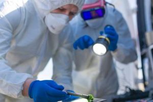 19.000 de urme criminalistice ridicate de poliţiştii mureşeni