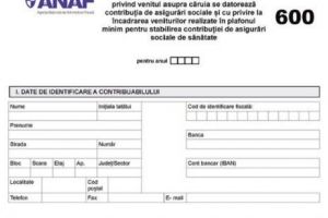ADIO, FORMULARUL 600. Tăriceanu confirmă anunţul făcut de Dragnea. ANAF, criticată pentru IDEE
