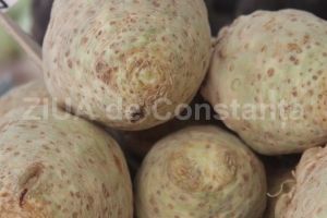 Țelina scade colesterolul. Previne si ajuta in tratarea diabetului