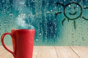 Protejează-ţi mobila de bucătărie cu un dezumidificator