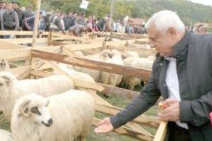 Fermierii vasluieni, implicaţi în campania “Alege Oaia”