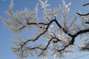 Ger în dimineţile de 24 şi 25 ianuarie 2018