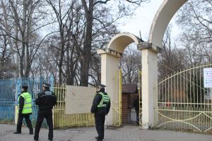 Noi focuri de armă în Satu Mare. Se reia acţiunea de alungare a ciorilor