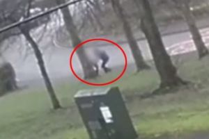 Momentul şocant în care un individ încearcă să răpească o fetiţă de 11 ani, la ieşirea de la şcoală