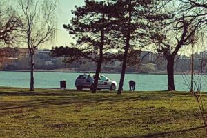 Incredibil cum a fost surprins un instructor auto pe malul lacului Tabacarie din Constanta (galerie foto)