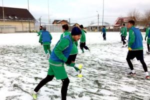 Galben-verzii au trecut cu brio testele