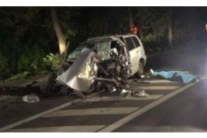 DRĂGĂȘANI: PERSOANĂ BĂNUITĂ DE UCIDERE DIN CULPĂ, IDENTIFICATĂ DE POLIȚIȘTI