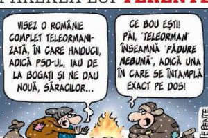 Părerea lui Terente