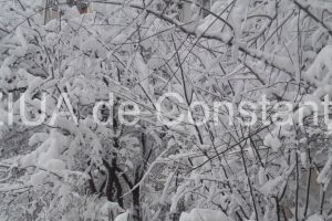 S-a inregistrat cea mai scazuta temperatura din aceasta iarna in Romania 