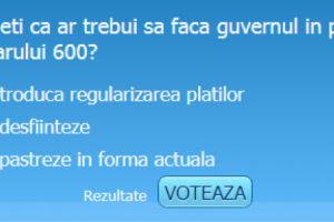 SONDAJ/ Ce ar trebui sa faca guvernul in privinta Formularului 600?
