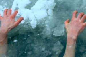 MOARTĂ de FRIG. Consecinţele CUTREMURĂTOARE ale VALULUI de AER POLAR