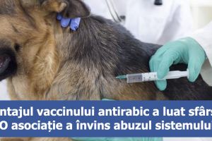 Șantajul vaccinului antirabic a luat sfârşit. O asociaţie a învins abuzul sistemului