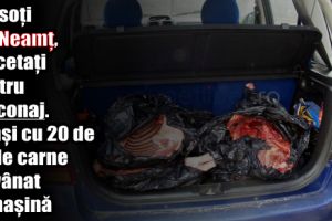 Doi soţi din Neamţ, cercetaţi pentru braconaj. Prinşi cu 20 de kg de carne de vânat în maşină