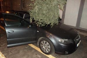 Incredibil. Autoturism avariat in parcare de un brad de Craciun aruncat de la etaj. Imaginile virale pe internet (galerie foto)