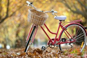 Printr-un proiect finantat pe POR 2014-2020: Piste pentru biciclete pe tronsonul Cernavoda - Rasova - Aliman - Ion Corvin!