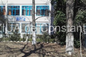 Sumele alocate de la bugetul local pentru premierea Mihaelei Plaeasu si a lui Viorel Filimon, diminuate. Care este motivul (document)