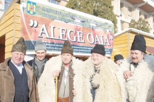 Campania naţională “Alege oaia”: Vasluiul merge pe mâna “mioriţei”