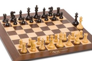 „Trofeul pionilor”, concurs open de şah rapid la Haţeg