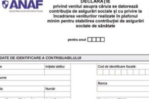 Un întreg SCANDAL pornit de la DECLARAȚIA 600. Câţi oameni au DEPUS-O