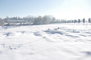 ANL a acceptat să construiască un bloc pentru medici în curtea Spitalului de Urgenţă Suceava