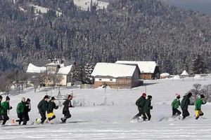 Foresta pregăteşte returul la -15 grade