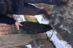 În Floreşti, un ”binevoitor” a turnat beton în canalizare - FOTO