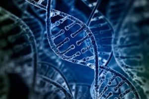 PRIMA CLONĂ din LUME. O echipă de cercetători a reuşit IMPOSIBILUL