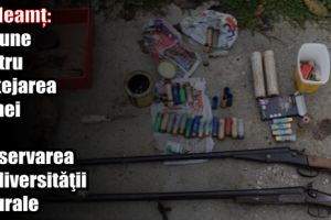 IPJ Neamţ: Acţiune pentru protejarea faunei şi conservarea biodiversităţii naturale