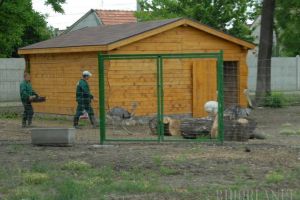 Administraţia Domeniului Public face angajări la Grădina Zoologică
