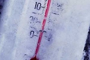 Aşa ceva nu s-a mai VĂZUT! Lunile FEBRUARIE şi MARTIE, marcate de temperaturi ANORMALE. News Alert