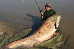 Ce sume puteţi accesa pentru dezvoltarea unei ferme piscicole?