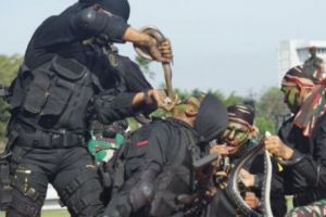 Ca-n filme! Ministrul Apărării, încântat de demonstraţiile soldaţilor indonezieni, care MUȘCĂ şerpi şi le beau SÂNGELE