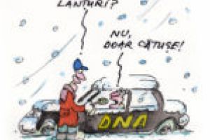 Insectarul cu nă(l)uci 26 ianuarie 2018