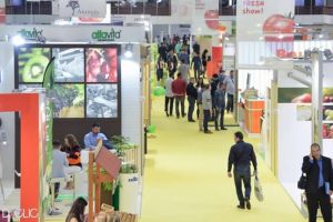 Firmelor din Timis li se pregateste o vizita in Grecia, la un targ de legume si fructe