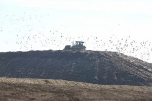 Filtre de aer pentru a scapa de mirosul urat de la Ghizela. O noua celula pentru gunoi