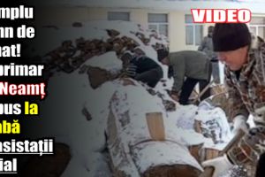 Exemplu demn de urmat! Un primar din Neamţ i-a pus la treabă pe asistaţii social
