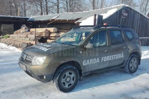 Camere video vor fi montate pe toate maşinile Gărzii Forestiere Suceava