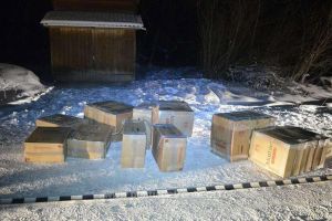 Împuşcături şi ţigări de aproape 25.000 de euro capturate la graniţă