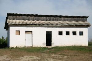 Vaslui şi Suceava, judeţe fruntaşe la numărul de şcoli cu toaleta în curte