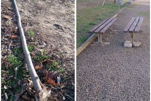 FOTO. Vandalii lovesc din nou: Copaci rupţi şi bănci mutate după bunul plac