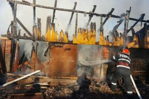 Şunculiţa, bat-o vina! Magazie făcută scrum, din cauza unei afumători (FOTO)