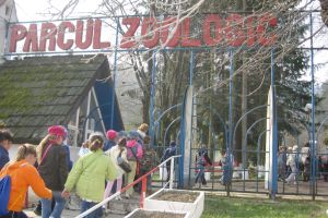 Adăpost de 3 milioane lei pentru pinguini şi foci gri, la Zoo Braşov
