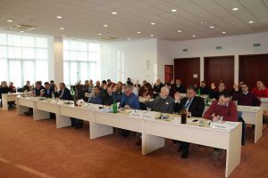 Consiliul Judeţean Arad şi-a împărţit astăzi sărăcia, prin votarea bugetului