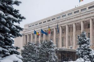 Cum va arata al treilea Guvern PSD-ALDE, condus de Viorica Dancila