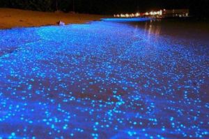 VACANȚA cumpărată de un ROMÂN cu 84.000 euro