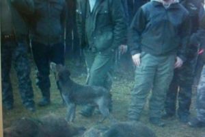 Procurorul “Mandarină’, de la Oradea, ascunde adevărul în propriul drept la replică