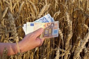 Impozit zero pe terenurile agricole lucrate şi credit de dezvoltare pentru fermieri
