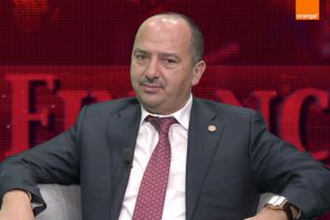 Remus Borza: Impozite si pentru lei, nu doar pentru catei!