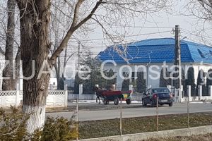 Se intampla in Romania: Mi-am luat cal, mi-am luat caruta/ Trag Loganul pe ulita (galerie foto+video)