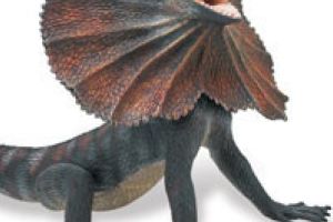 Sparle si soparle, 29.01.2018